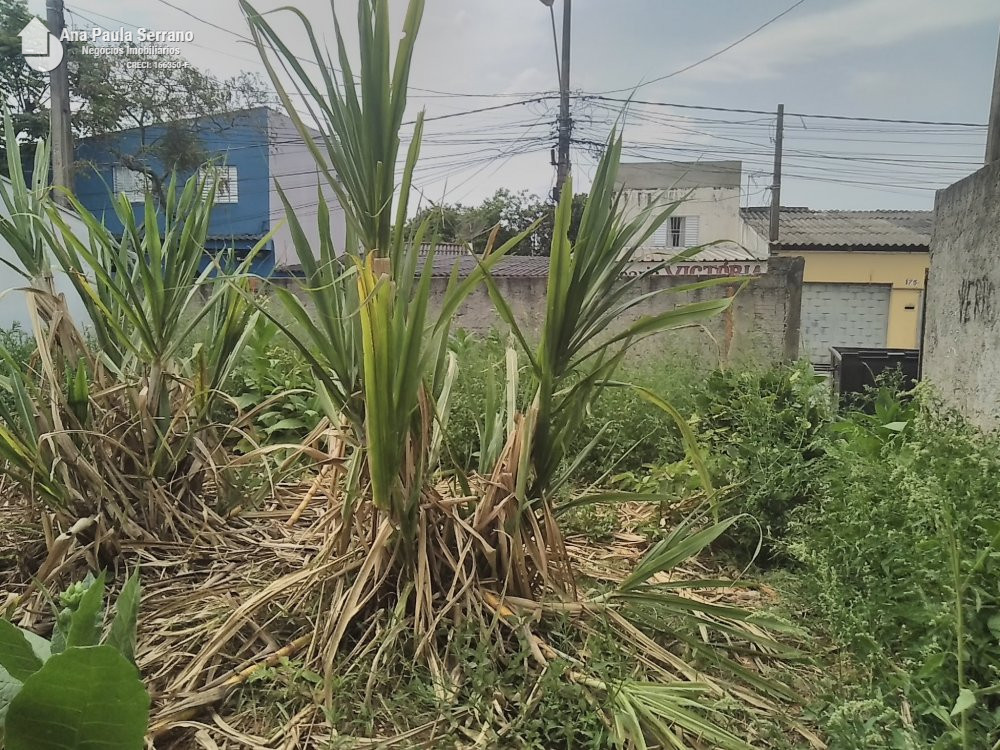 Terreno/Lote à venda  no Vila Barão - Sorocaba, SP. Imóveis