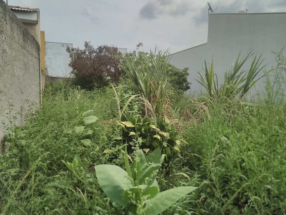 Terreno - Venda - Vila Barão - Sorocaba - SP